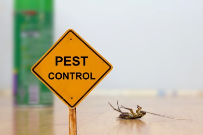 Pest Contol in Moorgate, Liverpool Street, EC2. Call Now 020 8166 9746